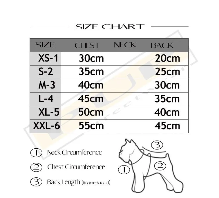 Chewnel Ace Sweater (avail in 2 colours)