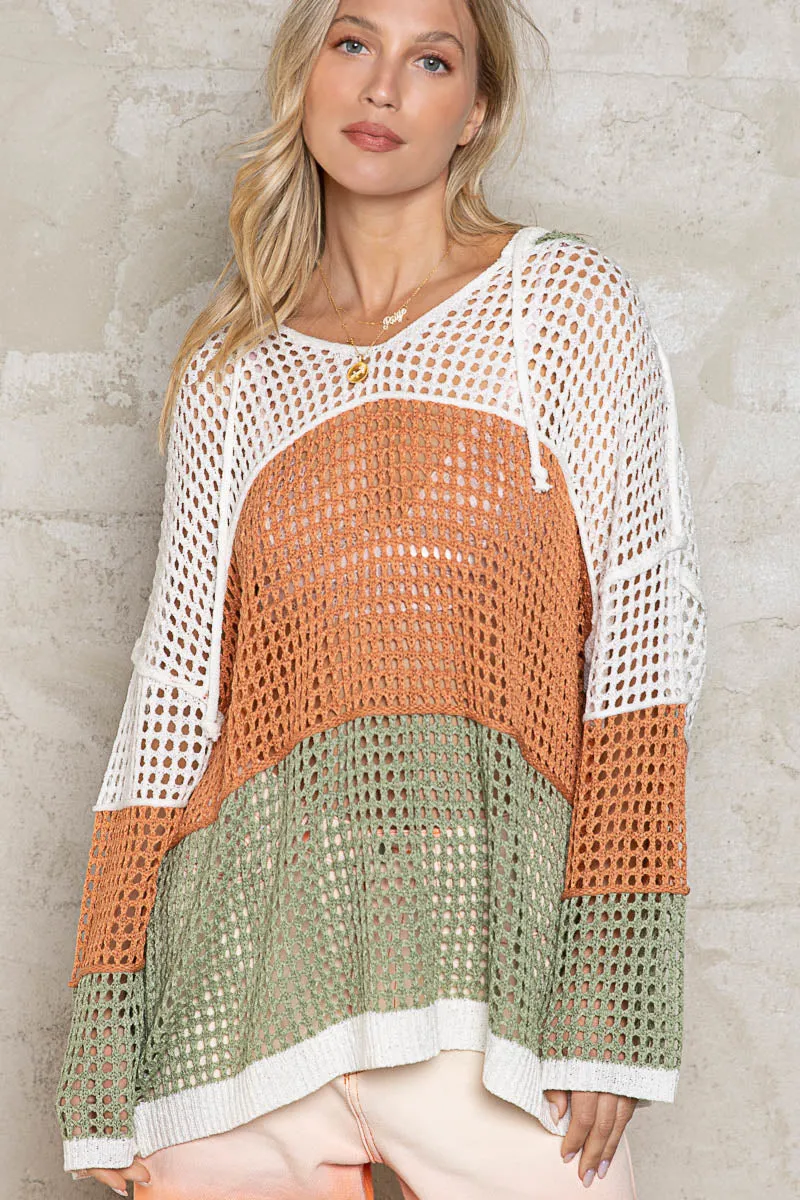 Relaxed See Through Sweater Hoodie
